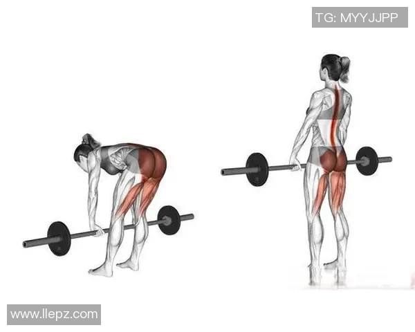 哑铃20kg的训练水平如何适合初学者还是进阶者的最佳选择分析