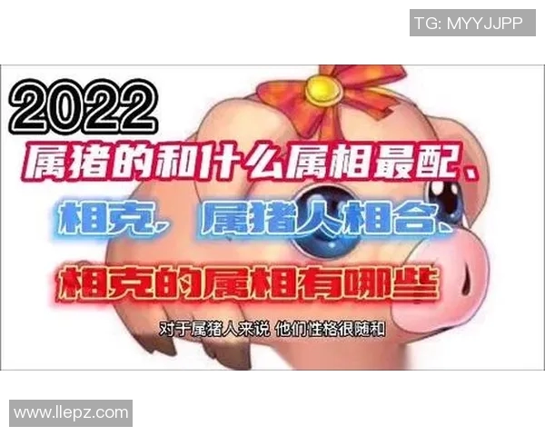 探寻足球明星生肖背后的故事属龙属虎的球员有哪些精彩瞬间